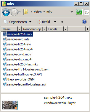werken-met-codecs-afb14-testbestanden-windowsmp